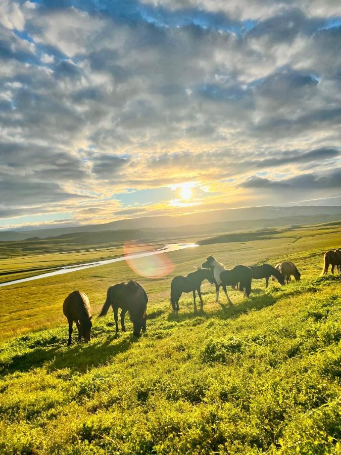 Stora-Asgeirsa Horse Farm Stay Vithigerthi Dış mekan fotoğraf