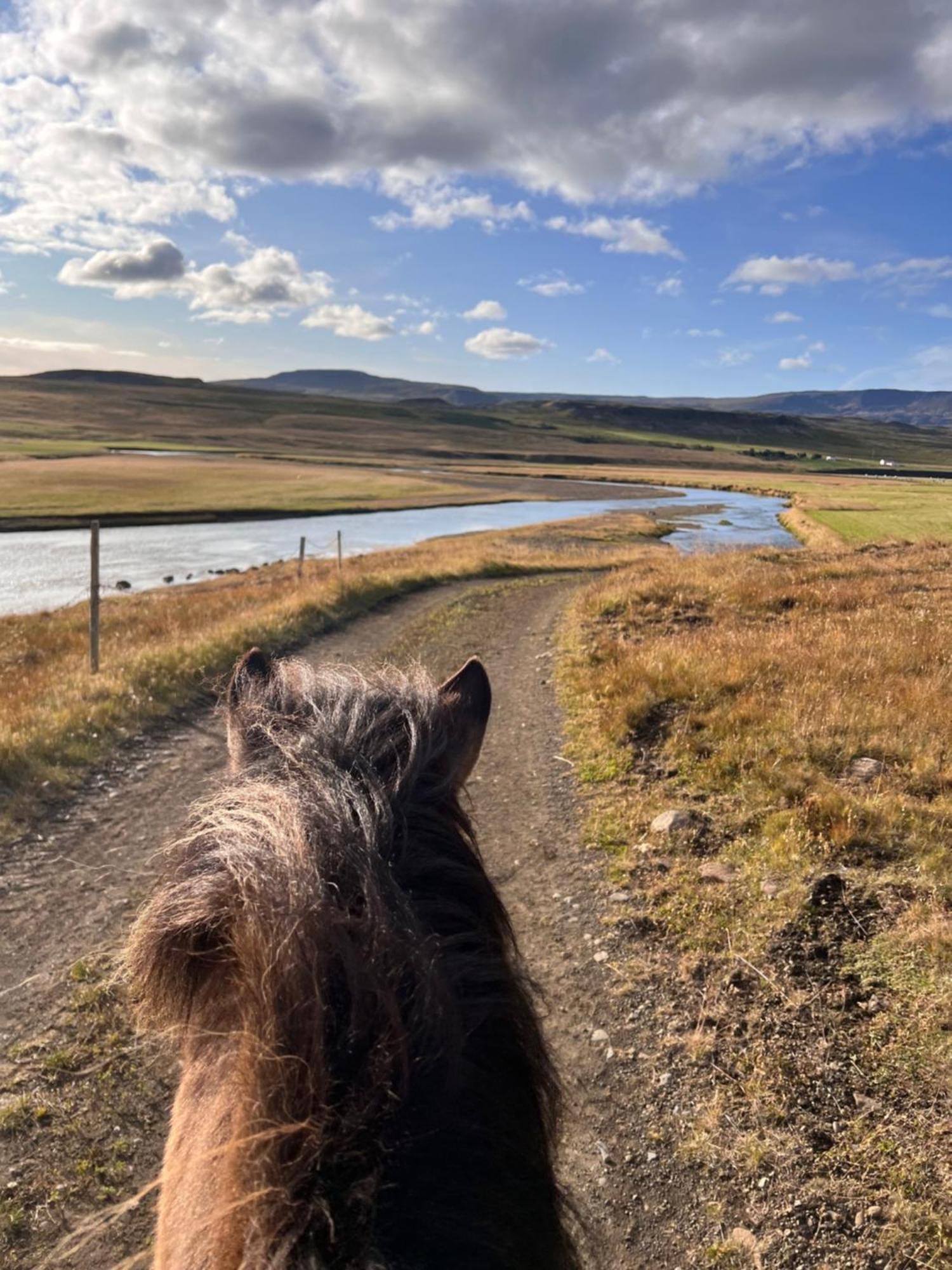 Stora-Asgeirsa Horse Farm Stay Vithigerthi Dış mekan fotoğraf
