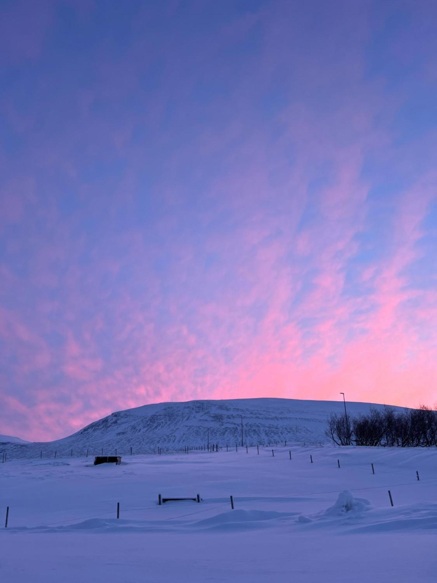Stora-Asgeirsa Horse Farm Stay Vithigerthi Dış mekan fotoğraf