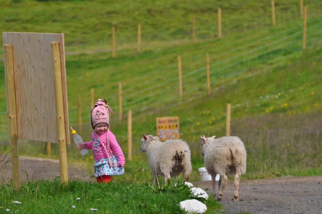 Stora-Asgeirsa Horse Farm Stay Vithigerthi Dış mekan fotoğraf