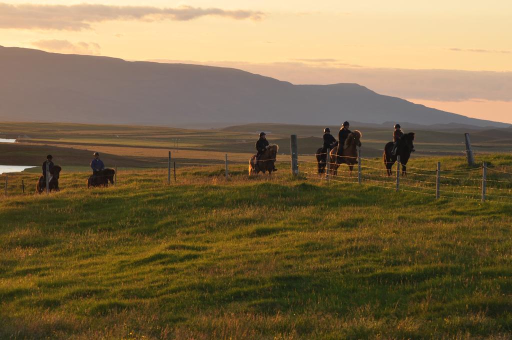 Stora-Asgeirsa Horse Farm Stay Vithigerthi Dış mekan fotoğraf